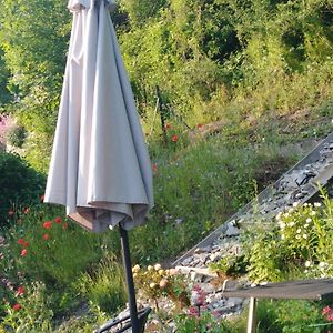 Un Studio A Louer Ds Un Endroit Calme Pres De La Ville De Dinant
